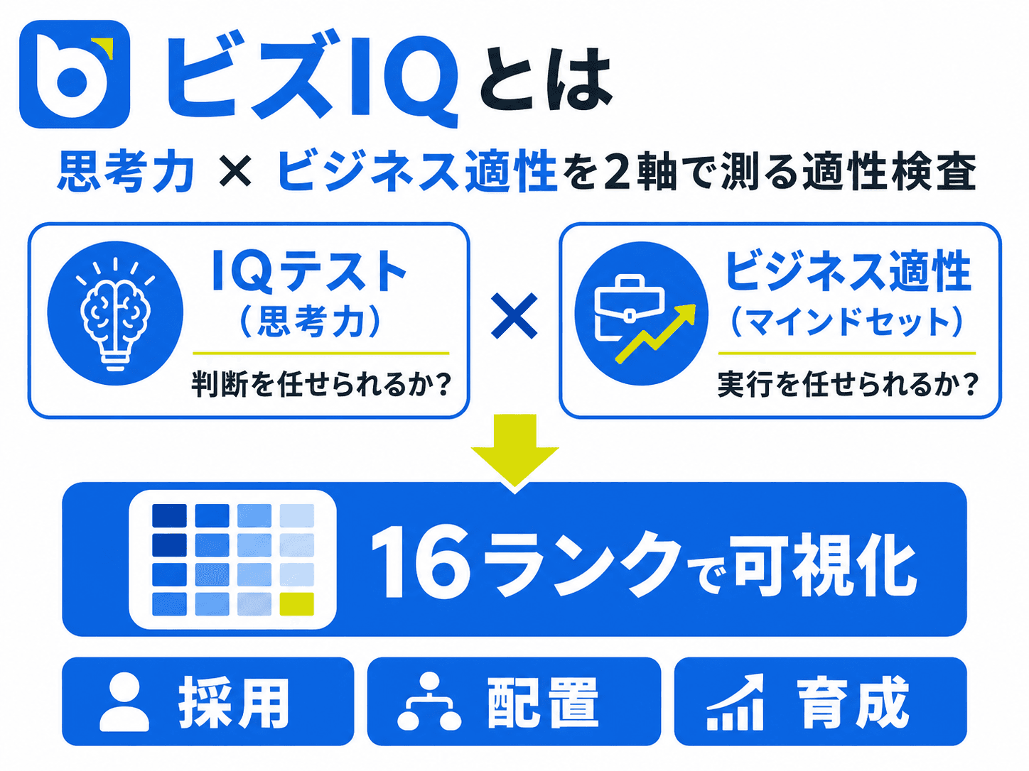 ビジネス適性検査とIQテストの2軸で人材を評価するビズIQのサービス概要図